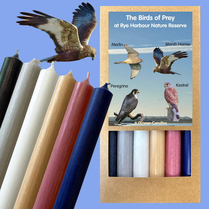 Art Illuminated – Birds of Prey Candle Set