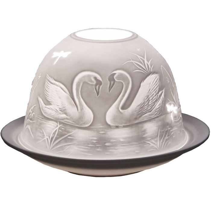 Swan