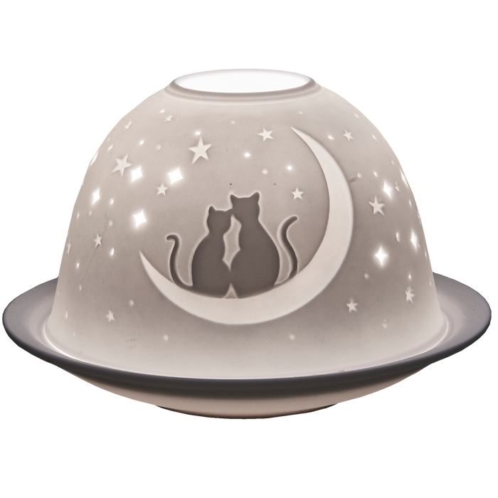 Halfmoon and Cats