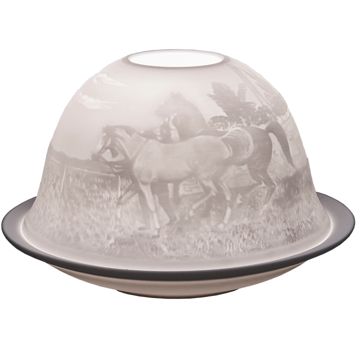 Horses