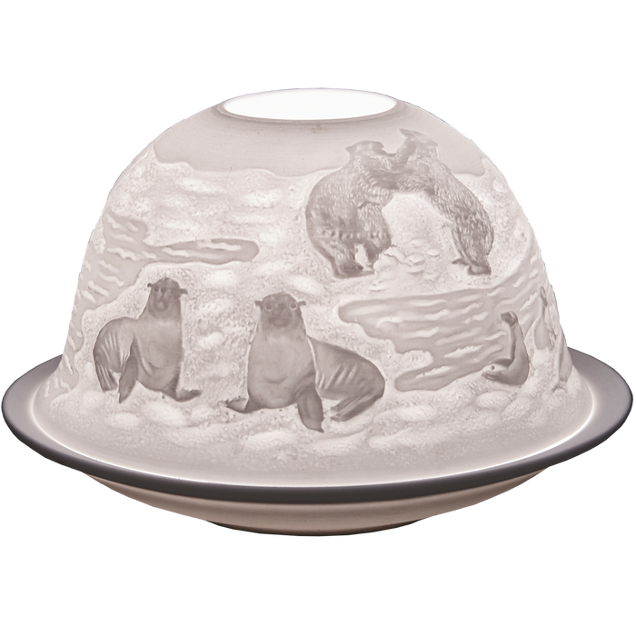 Arctic