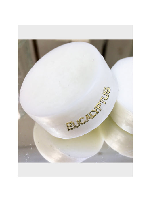 Eucalyptus Wax Melt Qty 6