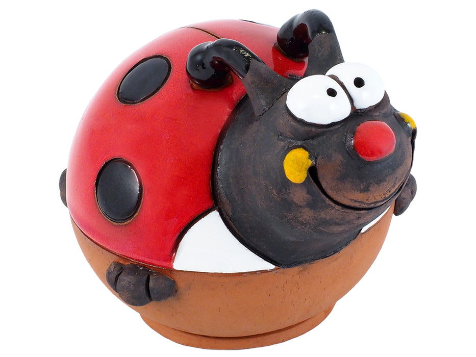 Lady Bird