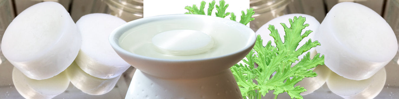 Plaristo Soya Wax Melts