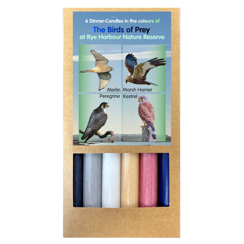 Art Illuminated – Birds of Prey Candle Set