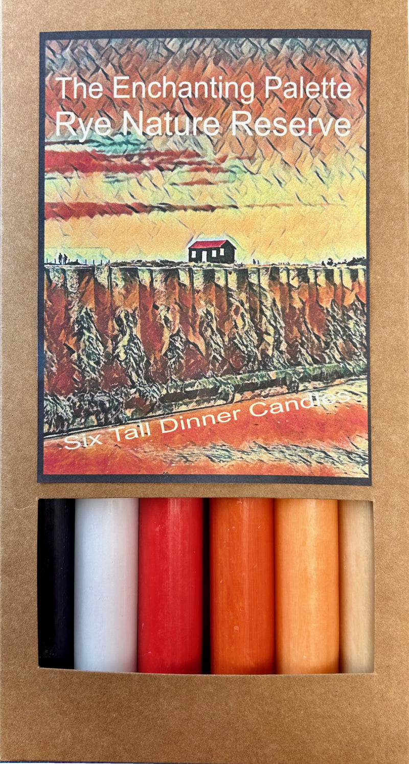 Art Illuminated Rye's Nature Reserve  – Set of 6 Red, Orange & Neutral Dinner Candles