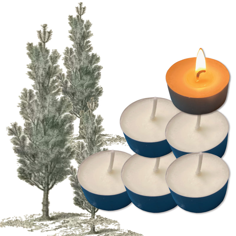 Into the Forest Handmade Scented Tealights - Pack of 6