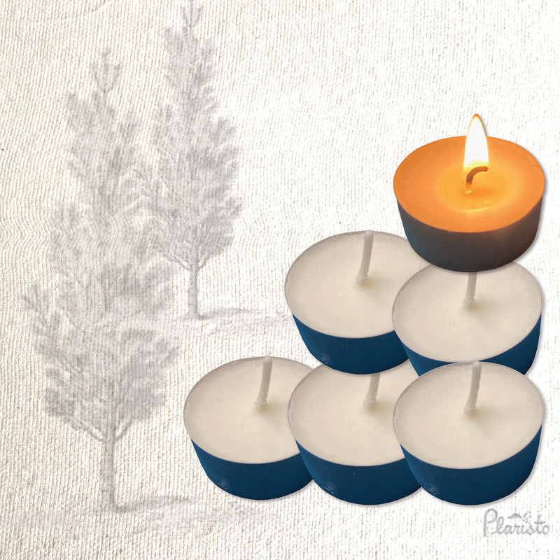 Into the Forest Handmade Scented Tealights - Pack of 6