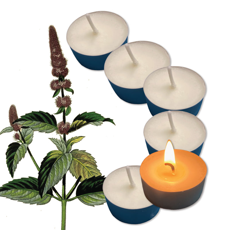 Peppermint Handmade Scented Tealights - Pack of 6