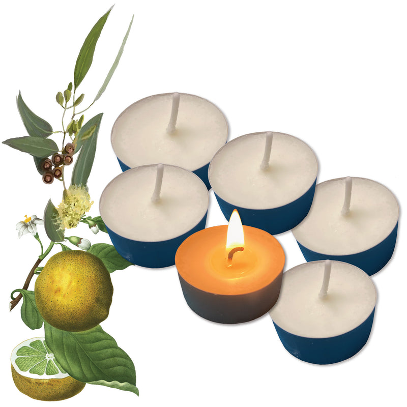 Signature Fresh Handmade Scented Tealights - Pack of 6