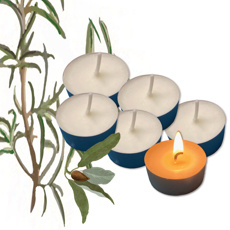 Signature Green Handmade Scented Tealights - Pack of 6