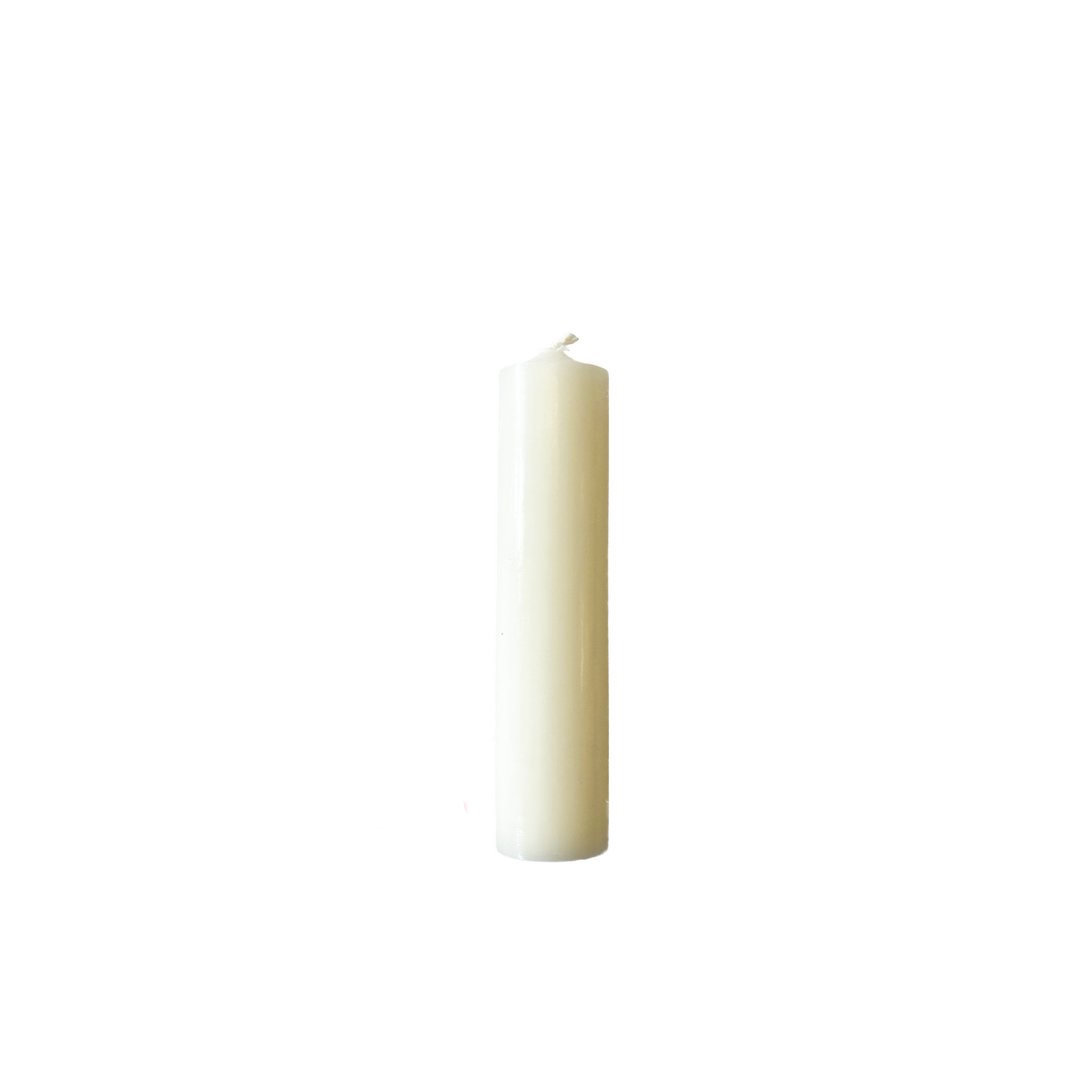 Ivory, Short Dinner Candles — Plaristo of Rye