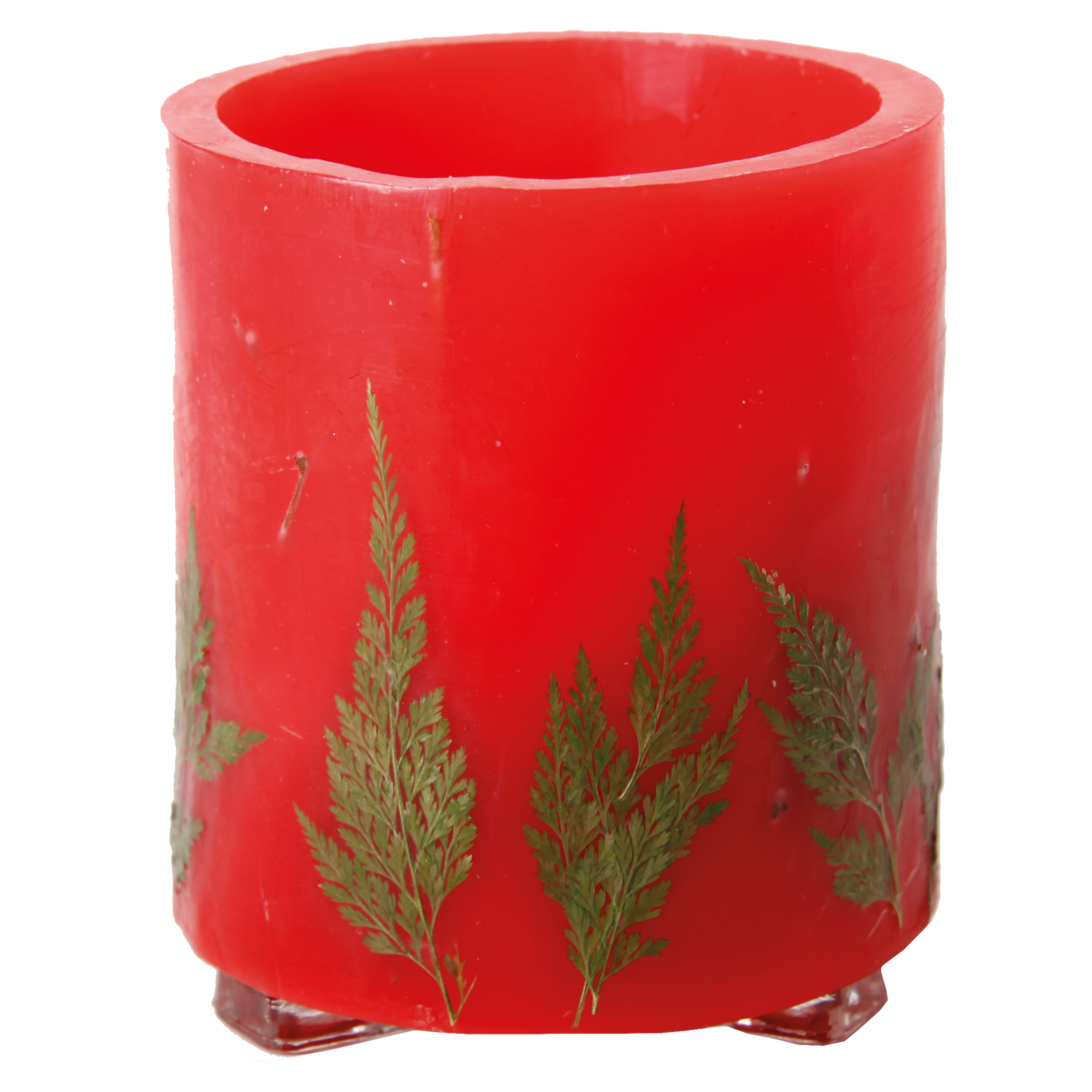 Hurricane Candles Fern — Plaristo of Rye