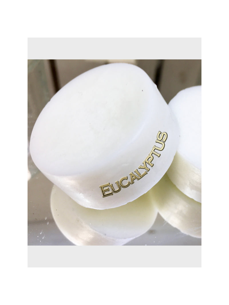 Eucalyptus Wax Melt Qty 6