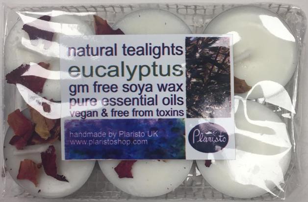 Plaristo Eucalyptus-scented tealights, 4 Hour Burn-time, Pack of 6