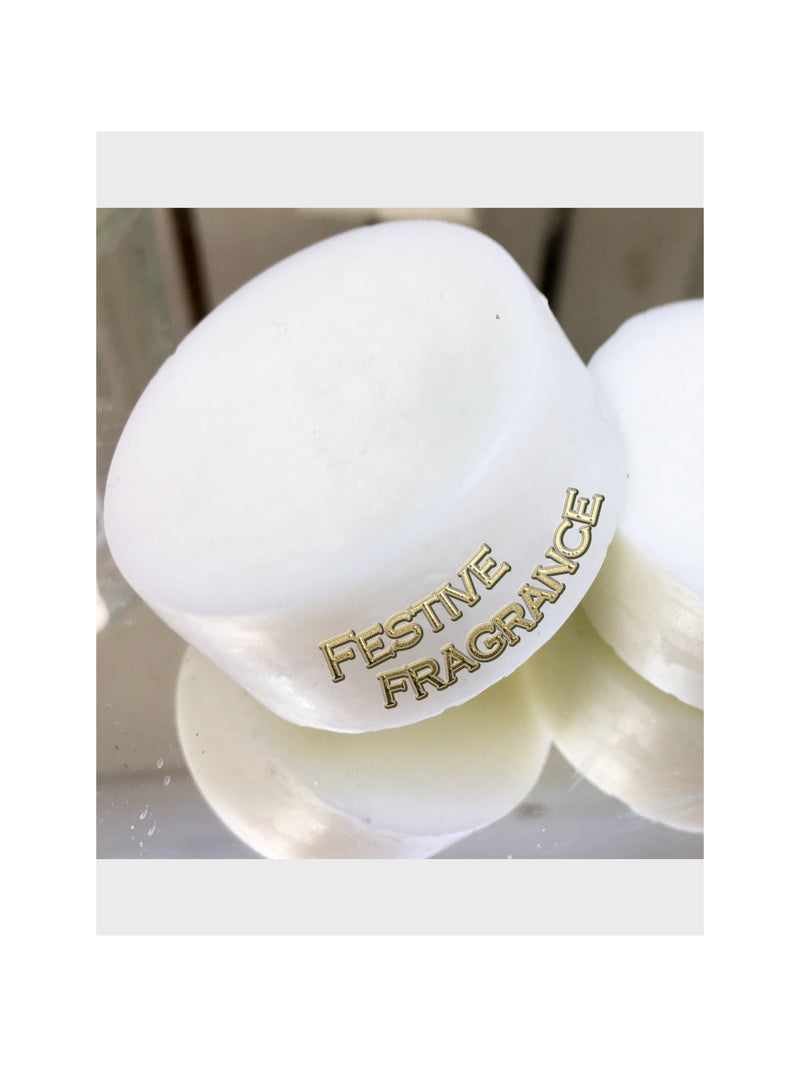 Festive Fragrance Wax Melt Qty 6